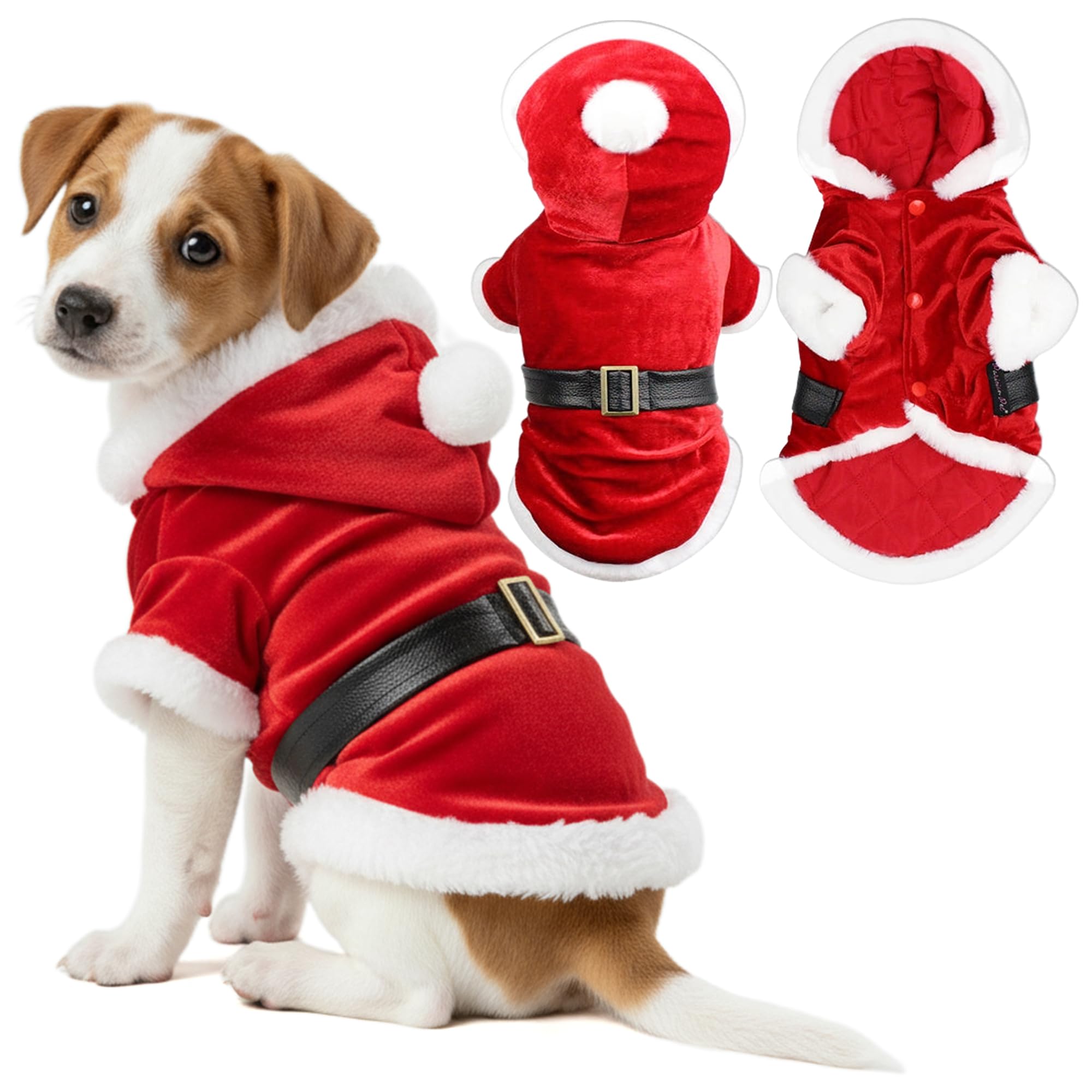 Parisian Pet Dog Cat Pet Xmas Holiday Christmas Santa Claus Winter Hoodie, S