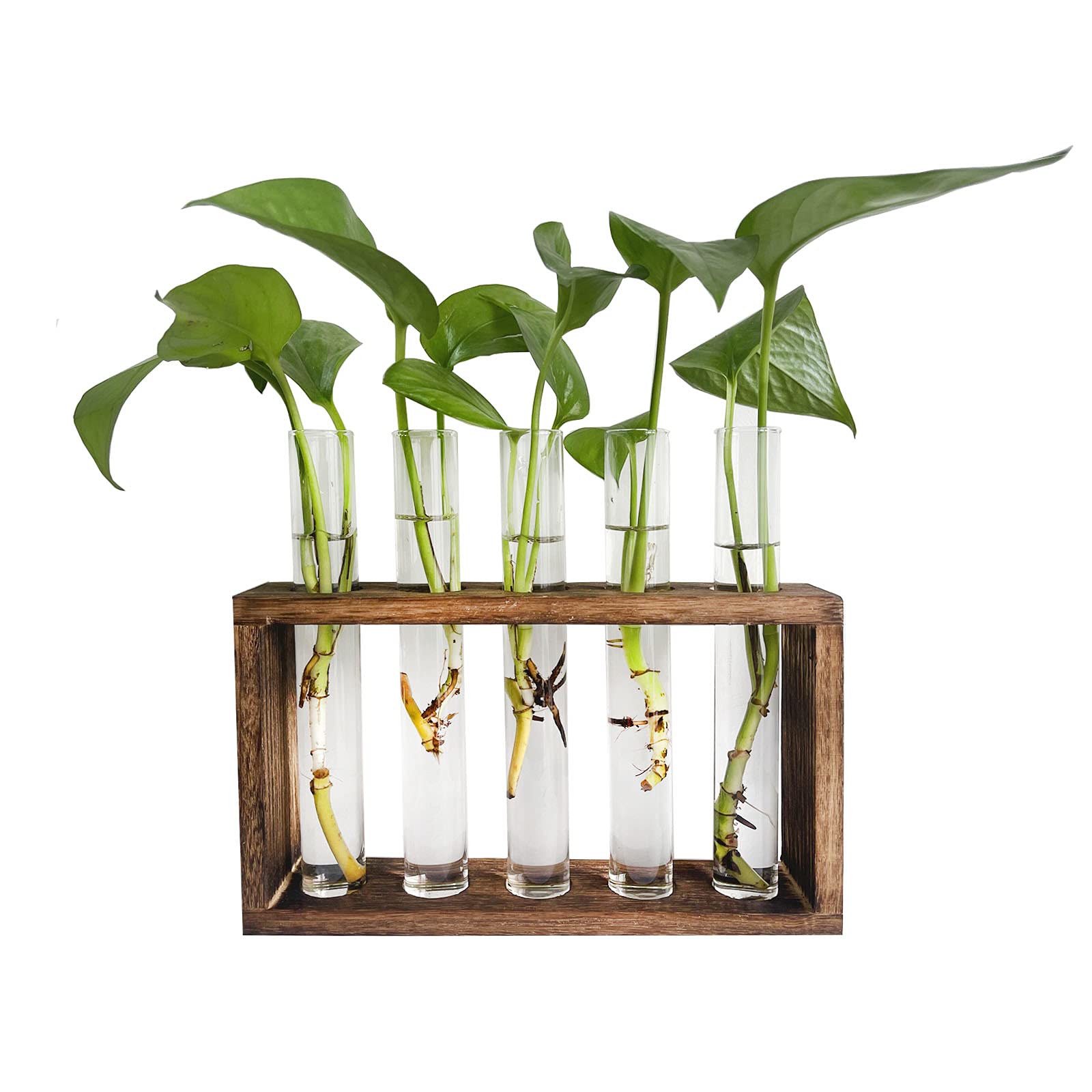 Pimaja Tube Propagation Station Wall Hanging Glass Vase in Wood Stand Rack Tabletop Terrarium with 5 Test Tube for Propagating Hydroponic Plants, Home Office Decoration