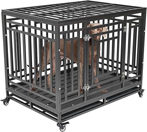 metal play yard for dogs