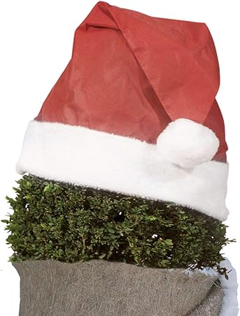 Afp Pflanzen Weihnachtsmutze Rot 42 X 36cm 10cm Pluschkante Vliesmutze Nikolausmutze Gartendeko Winterdeko Draussen 2 Jutesackchen Gratis Amazon De Garten
