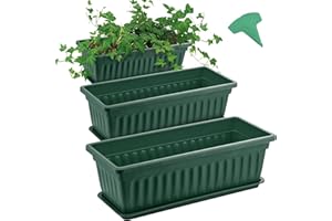 GROWNEER 3 Packs 17 Inches Green Flower Window Box Plastic Vegetable Planters Long Pots with 15 Pcs Plant Labels for Outdoor 