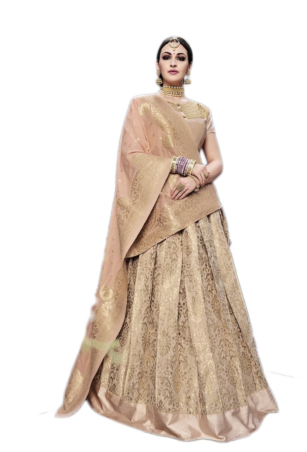 vasu saree women's banarasi silk lehenga choli (kanika-25002_multicolor_free size)