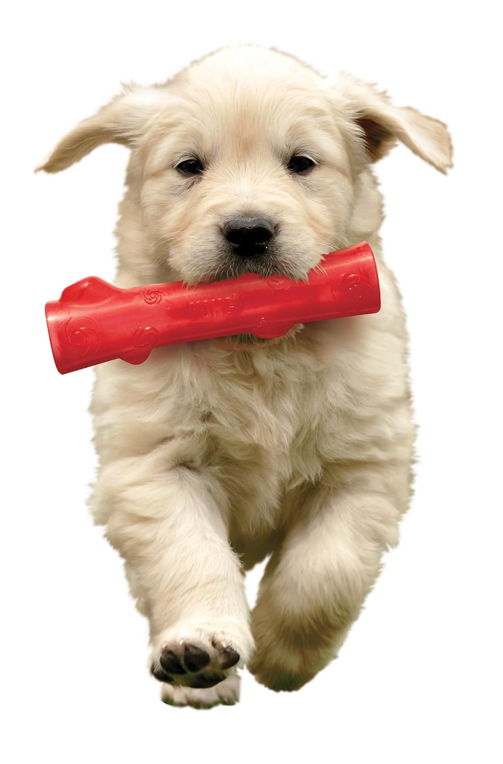 Jouet Pour Chien Indestructible En Nylon - Résistant Aux Mâcheurs Agressifs - Forme Lapin/écureuil/crabe