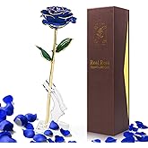 Yolife Gifts for Women Mom Gold Dipped Rose 24k Gold Dipped Real Rose Lasted Forever with Transparent Stand, Best for Her - for Valentine’s Day Mother’s Day Girlfriend Wife Birthday Wedding Flowers