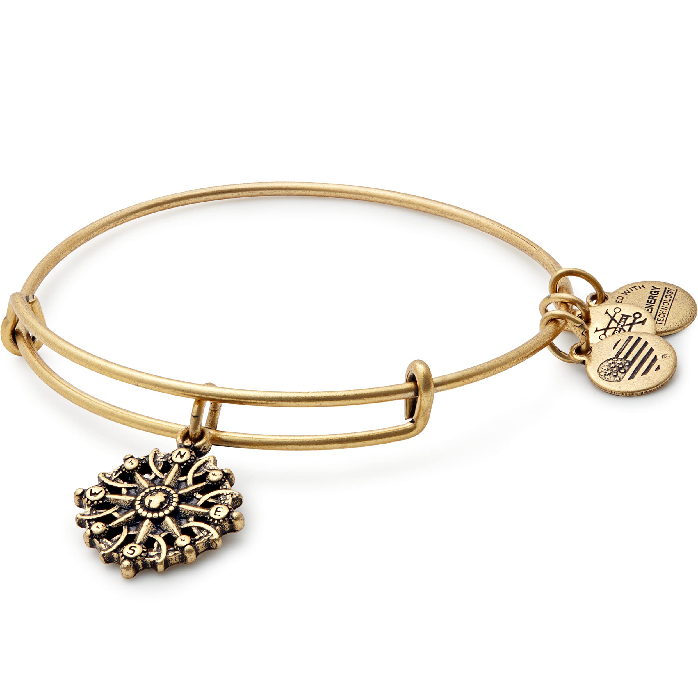Alex and Ani Compass Charm Bangle