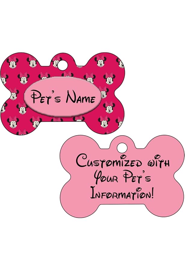 mickey mouse dog tag