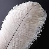 10 Pcs Natural Ostrich Feather Craft Plume - 14-16inch(35-40cm) For Wedding Centerpieces Home Decoration (White)