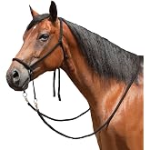Mustang Nylon Bitless Bridle w/Reins