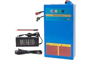 Cao MM 48v Battery, 10Ah/ 14AH/ 20AH Ebike Battery for 200-1200W Electric Bike Bicycle, Scooter and Other Motor