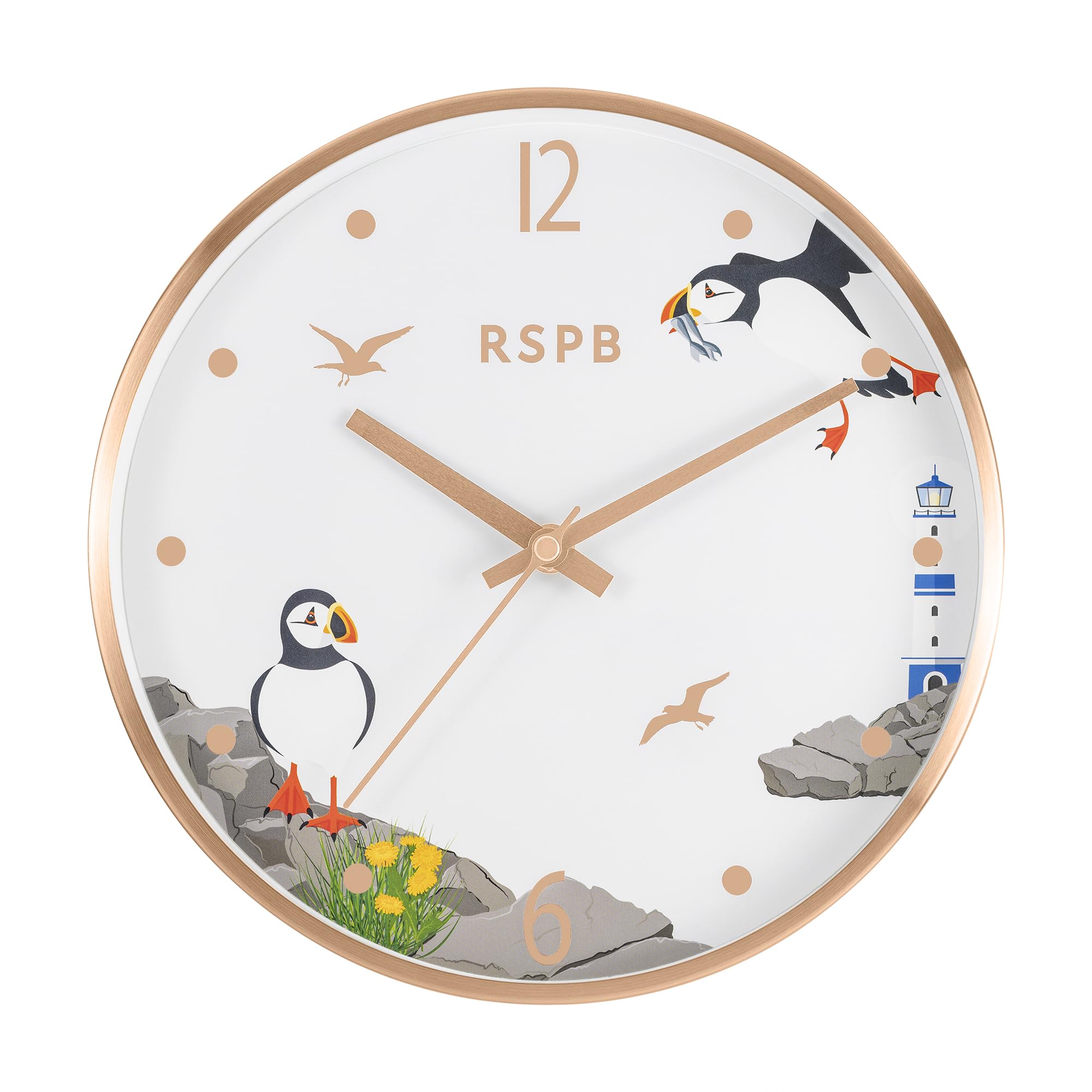 Tikkers RSPB Puffin Bird Printed Dial Wall Clock