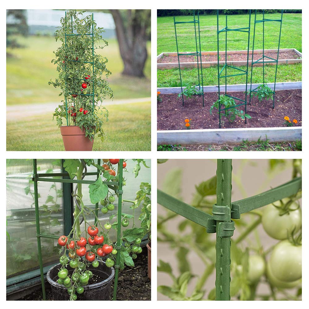 GROWNEER, Paquete de 6 Jaula de Plantas montada para Tomate ...