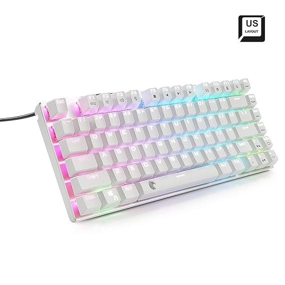 RGB Beleuchtete Tenkeyless Mechanische Tastatur Outemu Braune Switches Kompakt 81 Tasten Anti-Ghosting mit Gaming LED-Beleuch