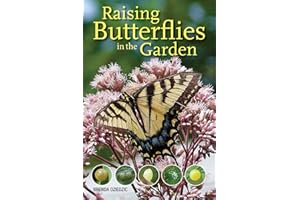Raising Butterflies in the Garden