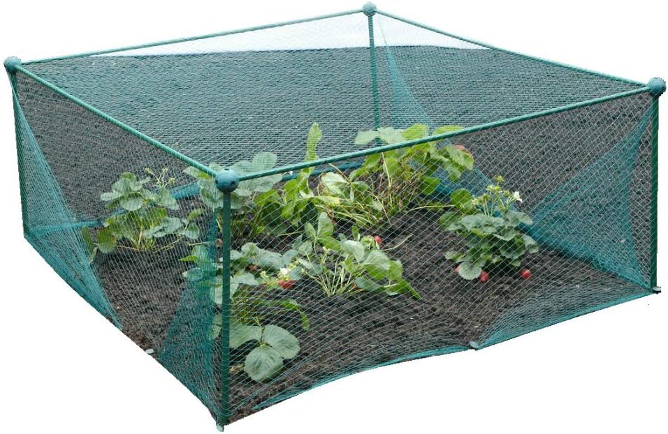 GardenSkill Fruit and Vegetable Garden Cage Kit with Bird Netting