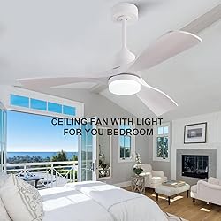 OMYU 42 Inch Ceiling Fans with Lights, ABS