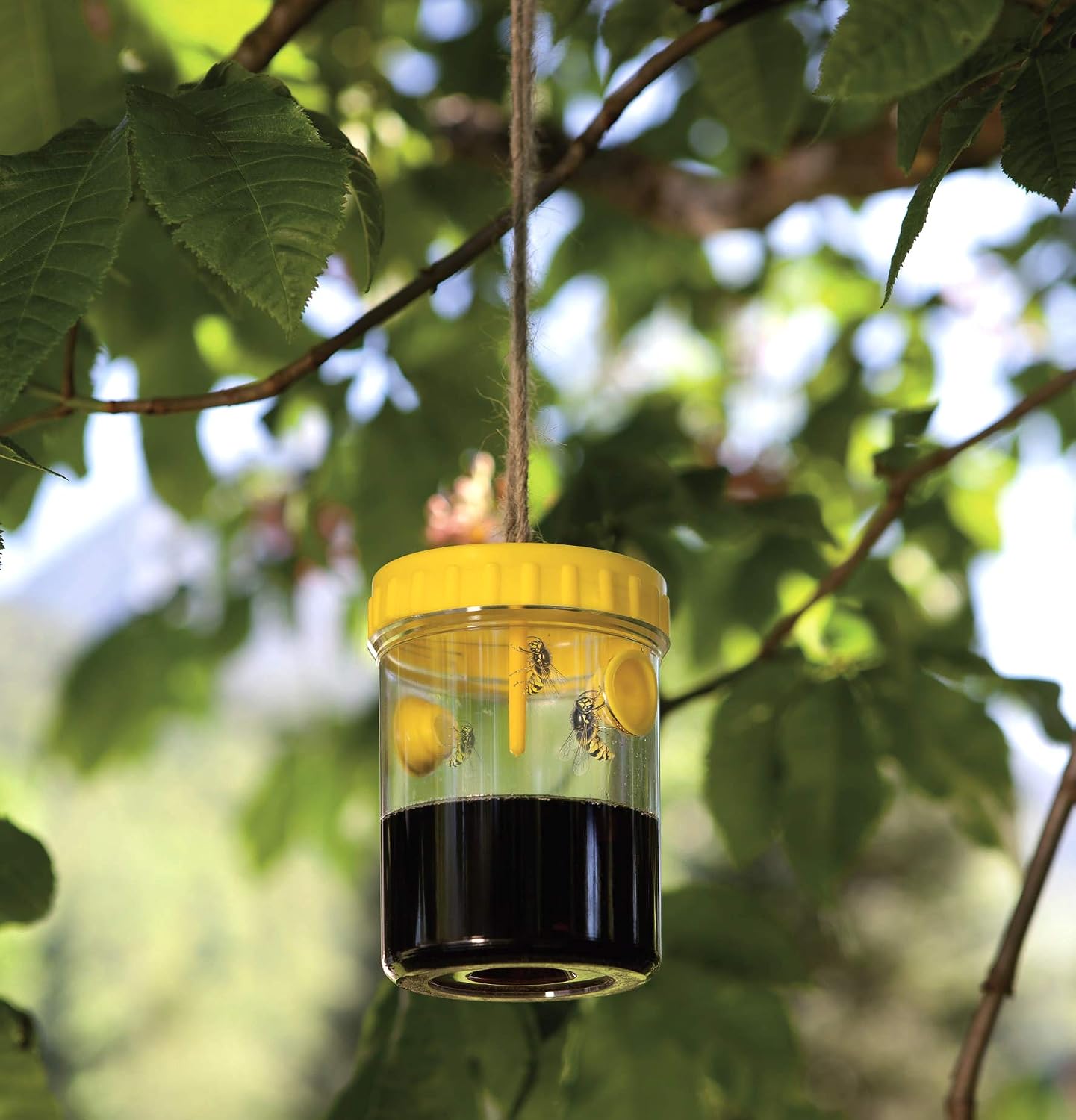 Windhager Wasp Repellent for Outdoor Use Easy to Clean No Chemicals Wasp Nest Attractant Wasp Nest Dummy Weatherproof Pack of 2 - Image 4