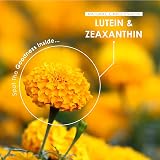 ALPHA01 Lutein Zeaxanthin 40mg 2.85mg BioPerine Vegan 90 Caps view 4