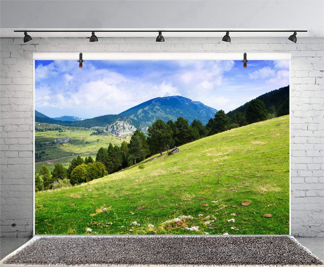 Amazon Com Leyiyi 7x5ft Spring Mountain Backdrop Summer Valley