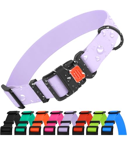 Amazon.com : PetSafe KeepSafe Break-Away Collar, 1-Inch Medium
