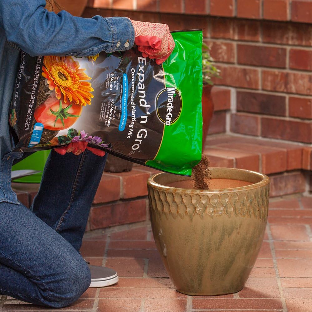Miracle-Gro Expand 'n Gro Concentrated Planting Mix 0.33 Cu Ft : Garden & Outdoor