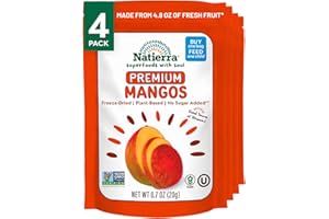 NATIERRA Premium Freeze-Dried Mango | Non-GMO & Vegan | 0.7 Ounce (Pack of 4)