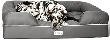 ace ventura pet detective 3