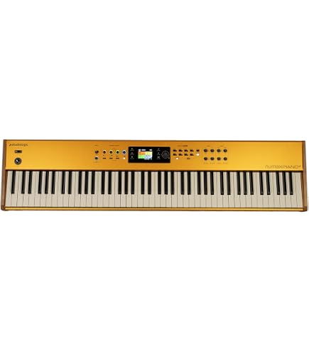 Amazon.com: Studiologic - NUMA COMPACT SE - 88 notes semi-weighted