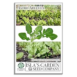 Astro Arugula Lettuce Seeds for
