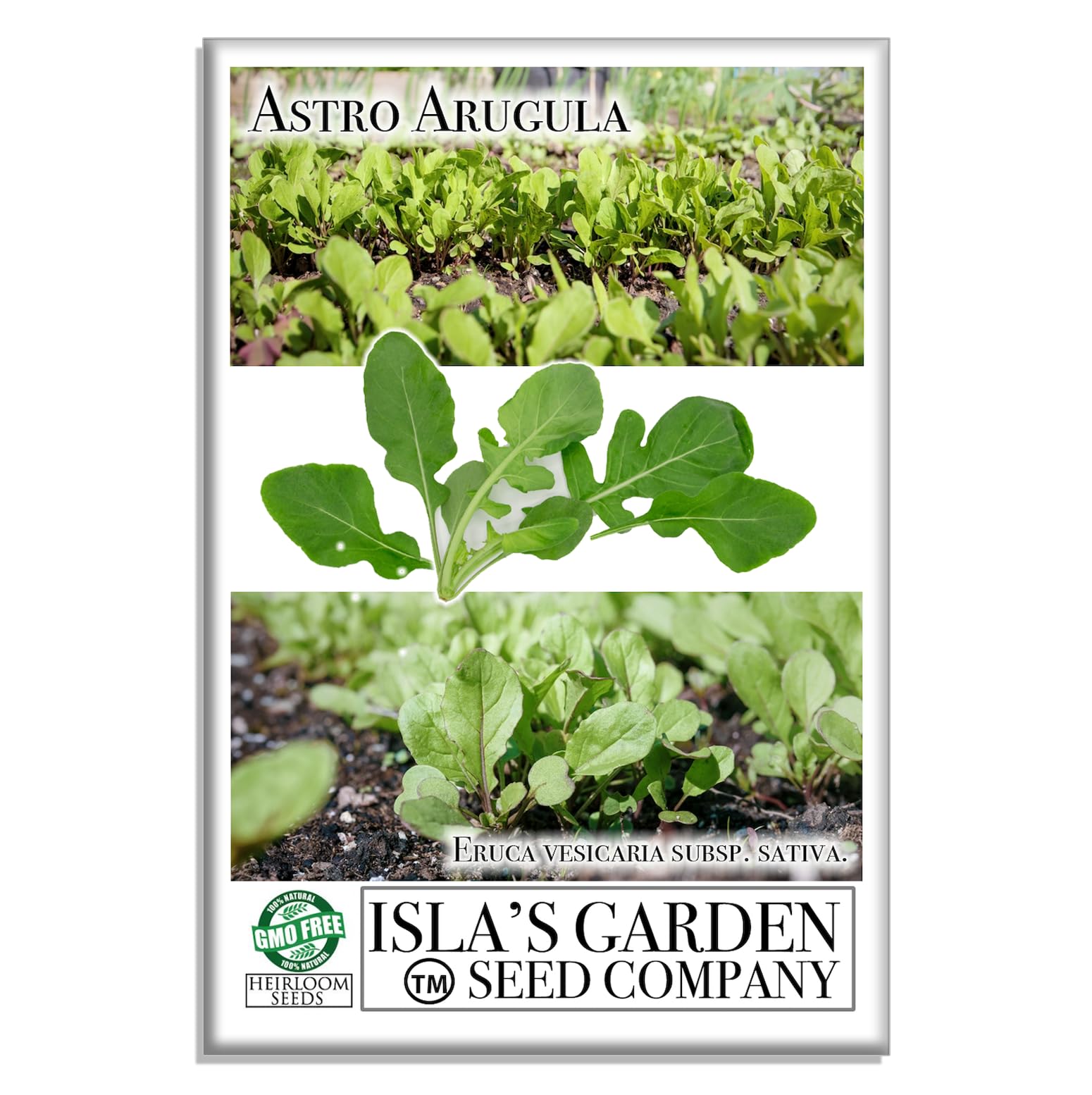 Astro Arugula Lettuce Seeds for