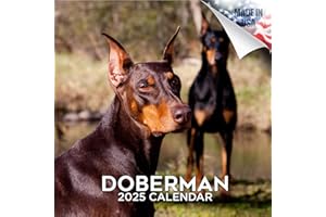 MEGACALENDARS 2024 2025 Doberman Calendar - Dog Breed Monthly Wall Calendar - 12 x 24 Open - Thick No-Bleed Paper - Giftable - Academic Teacher's Planner Calendar Organizing & Planning - Made in USA