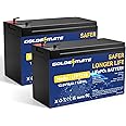 GOLDENMATE 12V 10Ah LiFePO4 Lithium Deep Cycle Battery(2-Pack), 5000+ Cycles Lithium Iron Phosphate Rechargeable Battery for Solar, Lighting, Power Wheels, Fish Finder, Scooters, Lightweight