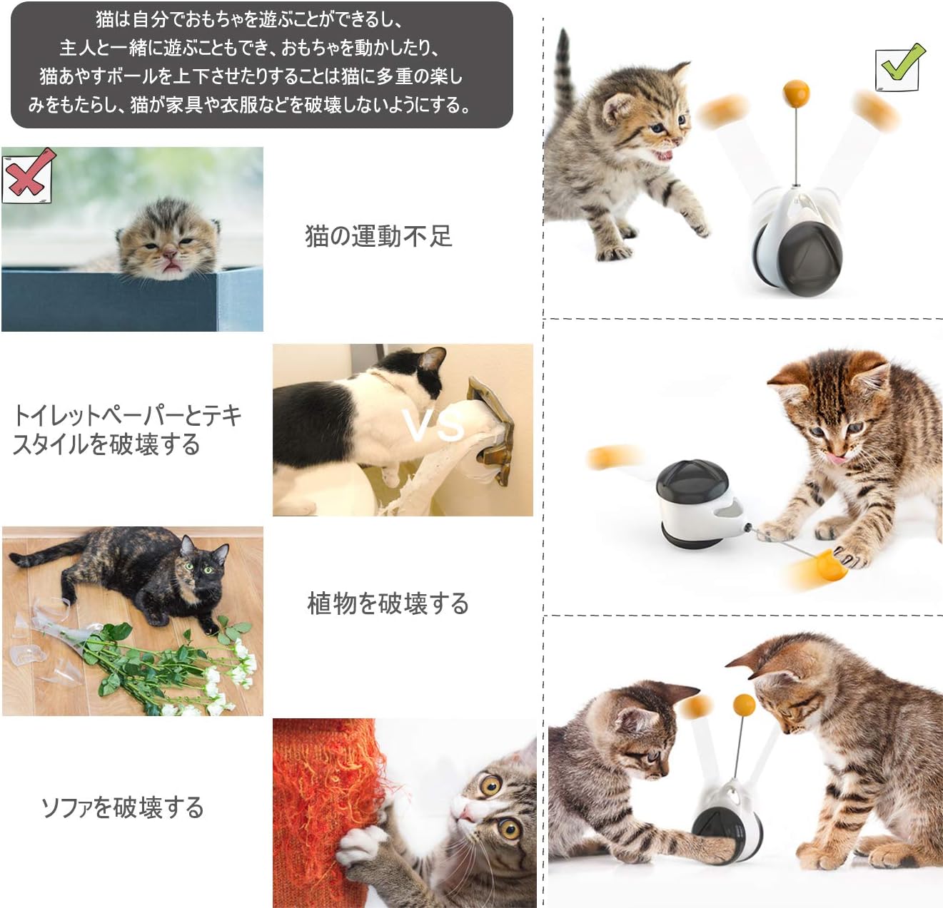 発見 電気の 平等 猫 ルーレット おもちゃ Nawa Kolkata Org