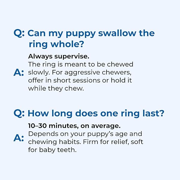 N-BONE PUPPY TEETHING RINGS TASTE OF TEXAS PULLED PORK FLAVOR 3 COUNT