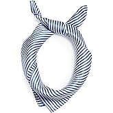 rag & bone Women's Gail Striped Silk Scarf