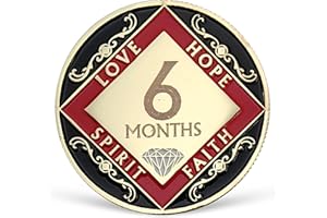 LREQASOR 6 Months NA Medallion Six Months Recovery Chip for NA AA 12 Step Narcotics Anonymous Coin Anniversary Token Clean and Sober Gifts for Men Women Celebrating Sobriety and Addiction Recovery