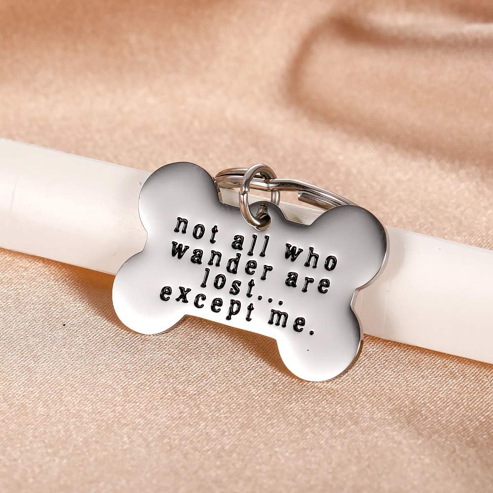 Funny Pet ID Tags for Dogs Collar for Kitten New Puppy Stainless Steel Not All Who Wander are Lost Except Me Cat Charm Christmas Gift Identification Charm : Pet Supplies