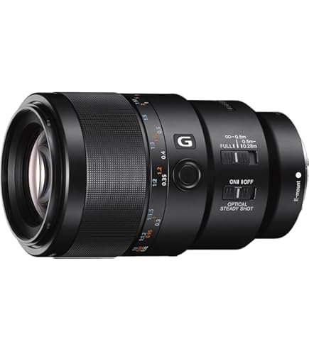 105mm F2.8 DG DN MACRO Art ソニーE Sigma 105mm F2.8 DG DN Macro Art (Sony E-Mount) : Amazon.ca