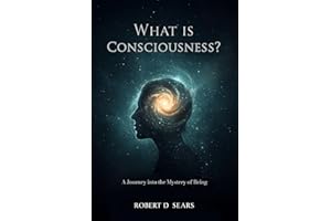 What Is Consciousness?: A Journey into the Mystery of Being