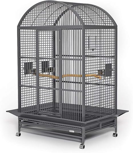 pet bird cages