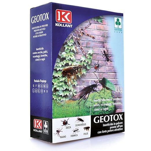 title=Insetticida Kollant Geotox Polvere Kg. 1