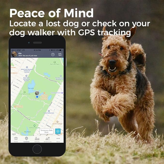 Link Akc Smart Dog Collar With Gps Tracker Activity Monitor Leather Or Sport