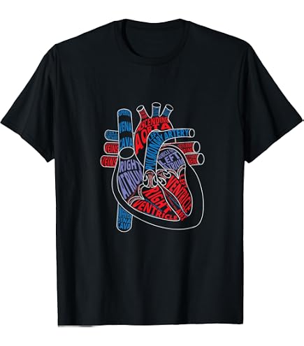 Amazon.com: Anatomical Heart T-Shirt - Anatomy Illustration T