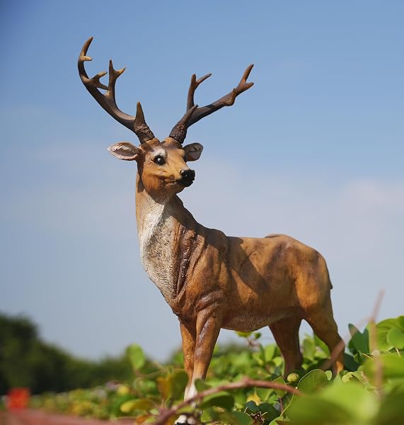 XTAPAN RESIN FEMALE DEER & STANDING MALE DEER FIGURINE ANIMALS STATUE HOME GARDEN YARD ORNAMENT LAWN OUTDOOR PATIO DECOR