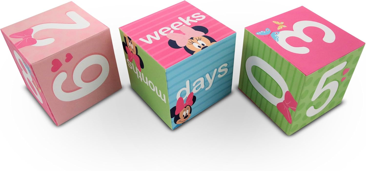 disney milestone blocks