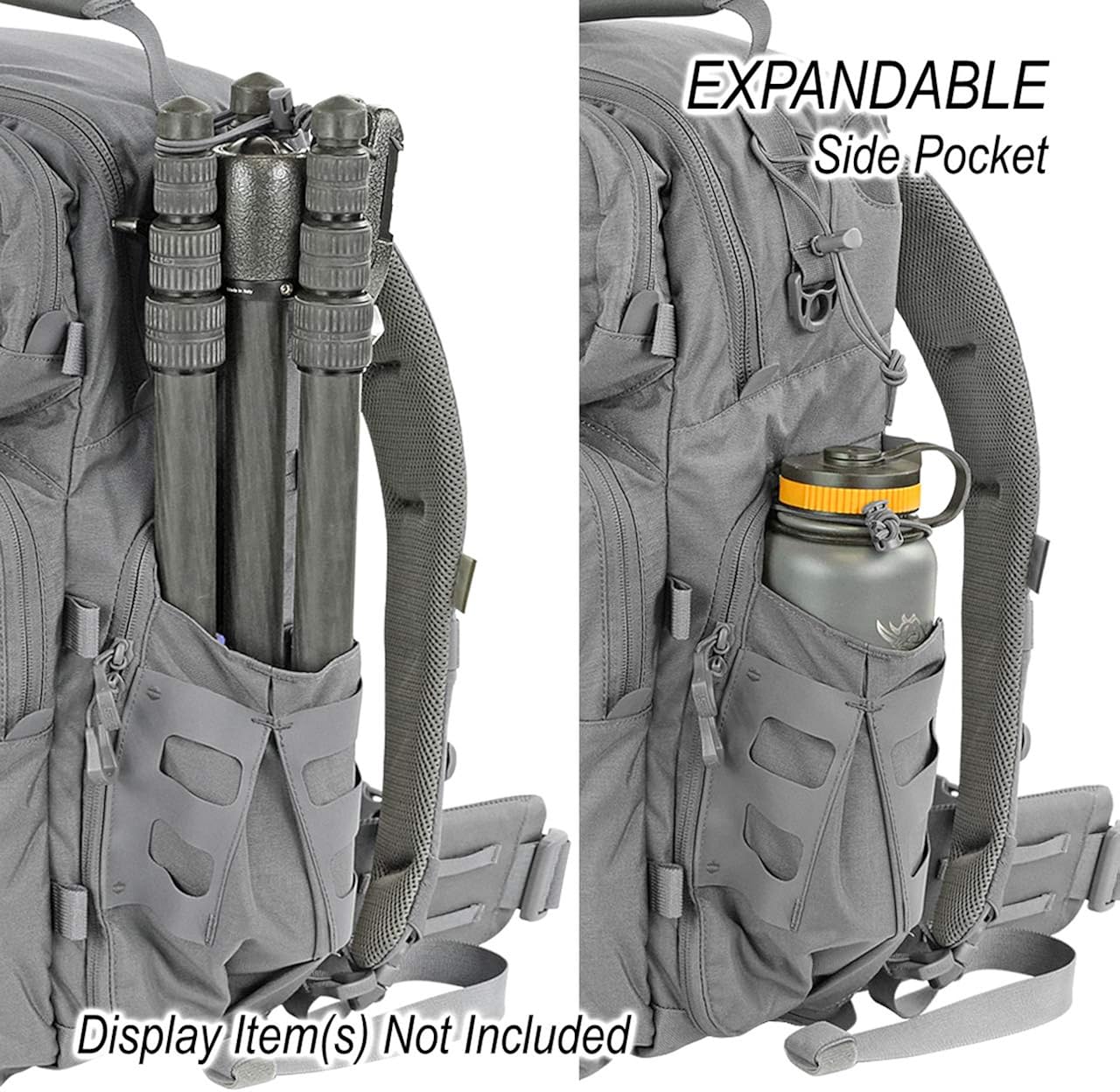 vanquest trident 31 amazon