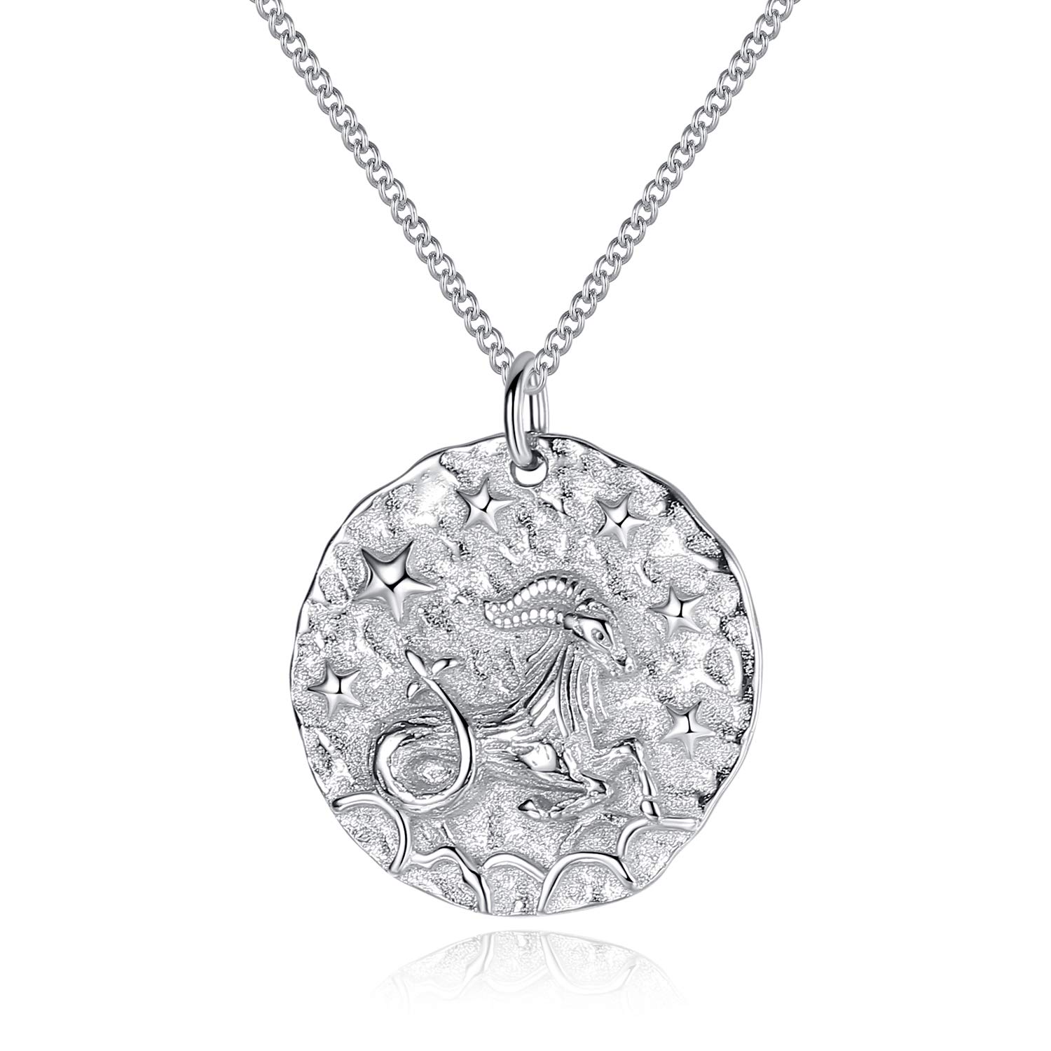 VIKI LYNN Women Girls 925 Sterling Silver Zodiac Star Sign Necklace (Capricorn-N (12.22-1.19))