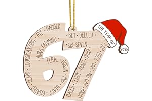 67 Christmas Ornament, 67 Ornaments for Xmas Tree, Funny Christmas Ornaments 2025, 6 7 Meme Ornament for Teens, Six Seven Gifts, Gag Gifts for Teens, Teen Girls Trendy Stuff