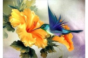 Abillyn Embroidery Cross Stitch Kits Hummingbird and Flower Stamped with Printed Pattern Starter Kit (Hummingbird)