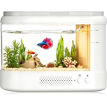 Amazon.com New Releases: The best-selling new & future releases in