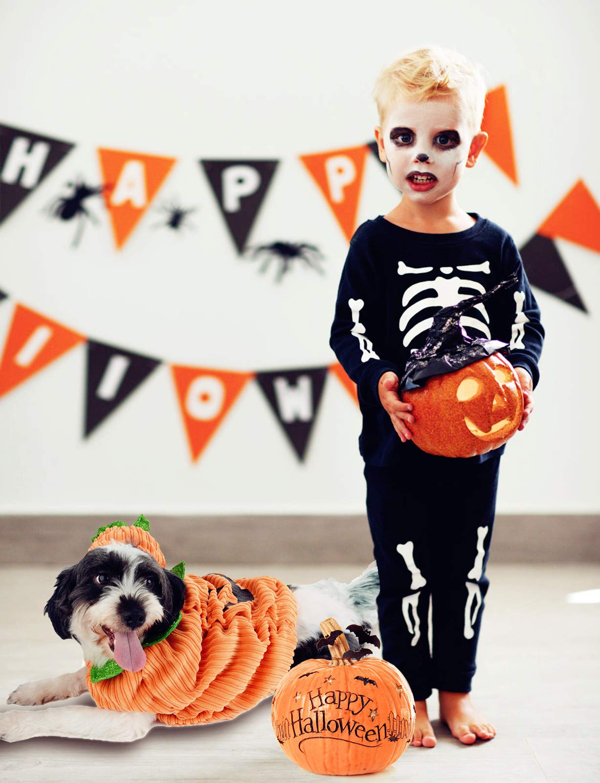 Legendog Dog Halloween Shirt, Pet Clothes, Cute Cat Dog Halloween Pumpkin Costumes, Dog Apparel, Halloween Costumes for Dogs, Creative Halloween Pumpkin Shirts for Dogs